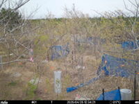 Apr 25 2025 12:34:21, #01