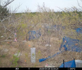 Apr 25 2025 12:34:21, #01