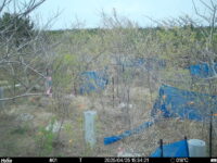 Apr 25 2025 15:34:21, #01