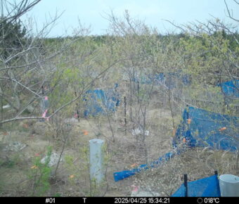 Apr 25 2025 15:34:21, #01