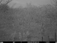 Apr 25 2025 18:34:20, #01