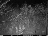 Apr 25 2025 21:34:20, #01