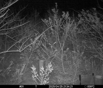 Apr 25 2025 21:34:20, #01