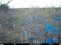Apr 26 2025  6:34:21, #01