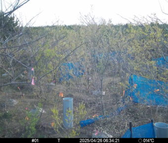 Apr 26 2025  6:34:21, #01