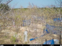 Apr 26 2025 12:34:20, #01