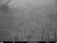 Apr 26 2025 18:34:21, #01