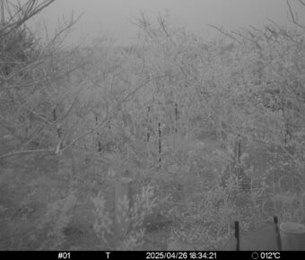 Apr 26 2025 18:34:21, #01