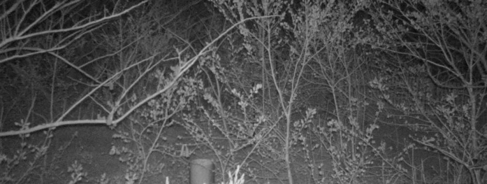 Apr 27 2025  0:34:20, #01