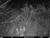 Apr 27 2025  3:34:21, #01