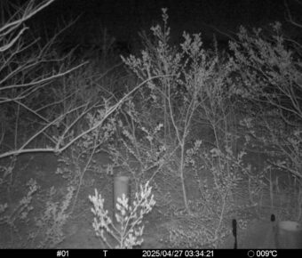 Apr 27 2025  3:34:21, #01