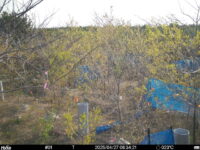 Apr 27 2025  6:34:21, #01