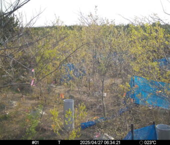 Apr 27 2025  6:34:21, #01