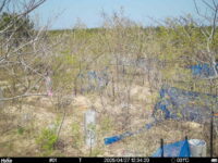 Apr 27 2025 12:34:20, #01