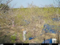 Apr 27 2025 15:34:21, #01