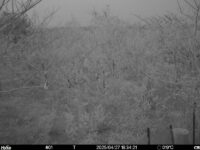 Apr 27 2025 18:34:21, #01