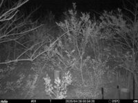 Apr 28 2025  0:34:19, #01