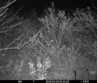 Apr 28 2025  0:34:19, #01