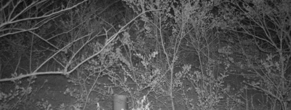 Apr 28 2025  3:34:20, #01