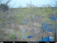 Apr 28 2025  6:34:21, #01