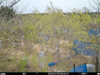 Apr 28 2025  9:34:21, #01