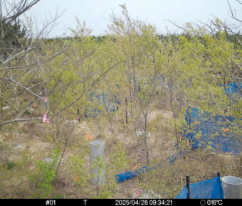 Apr 28 2025  9:34:21, #01