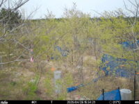 Apr 28 2025 15:34:21, #01