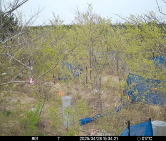 Apr 28 2025 15:34:21, #01