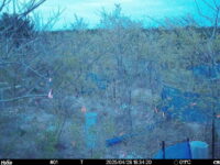 Apr 28 2025 18:34:20, #01
