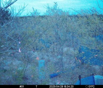 Apr 28 2025 18:34:20, #01