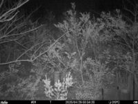 Apr 29 2025  0:34:19, #01