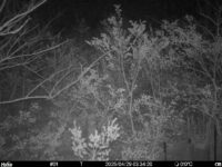 Apr 29 2025  3:34:20, #01