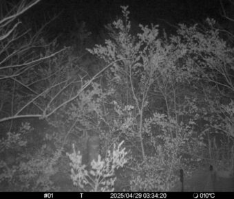 Apr 29 2025  3:34:20, #01