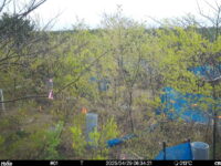 Apr 29 2025  6:34:20, #01