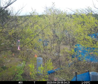 Apr 29 2025  6:34:20, #01