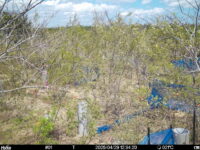 Apr 29 2025 12:34:20, #01