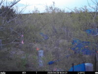 Apr 29 2025 18:34:21, #01