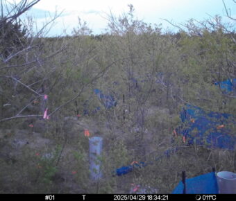 Apr 29 2025 18:34:21, #01