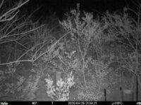 Apr 29 2025 21:34:21, #01