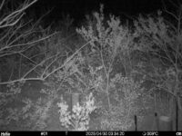 Apr 30 2025  3:34:19, #01