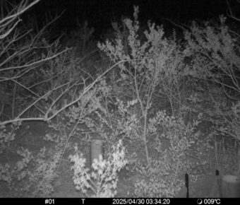 Apr 30 2025  3:34:19, #01