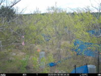 Apr 30 2025  6:34:20, #01