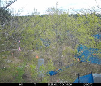 Apr 30 2025  6:34:20, #01