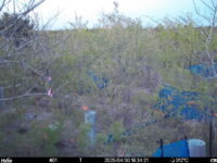 Apr 30 2025 18:34:21, #01