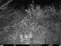 Apr 30 2025 21:34:21, #01