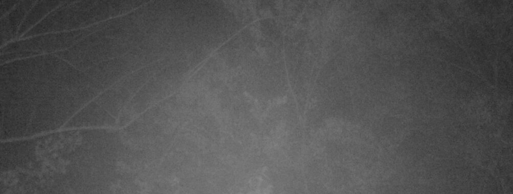 May 1 2025  0:34:20, #01
