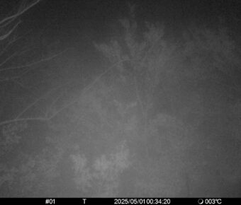 May 1 2025  0:34:20, #01