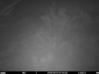 May 1 2025  3:34:19, #01