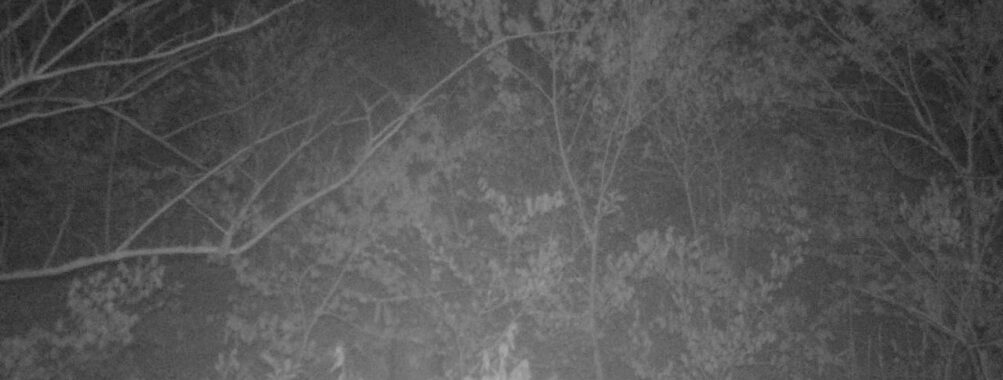 May 1 2025 21:34:21, #01