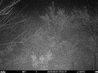 May 1 2025 21:34:21, #01